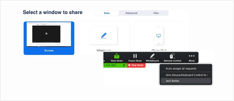 Screen sharing and remote control